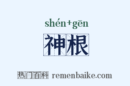 神根是什么意思的图片